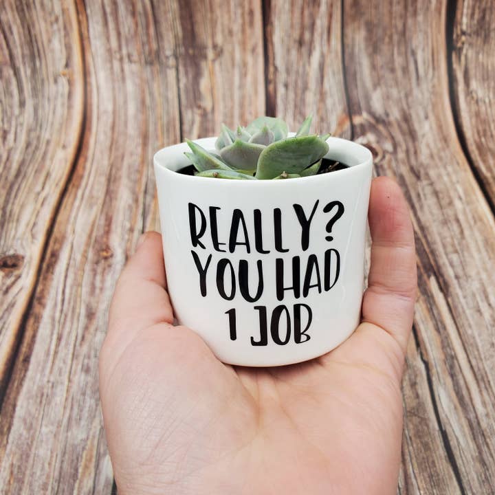 Blooms n rooms - Wholesale Plant Pot - Punny Plant Pots