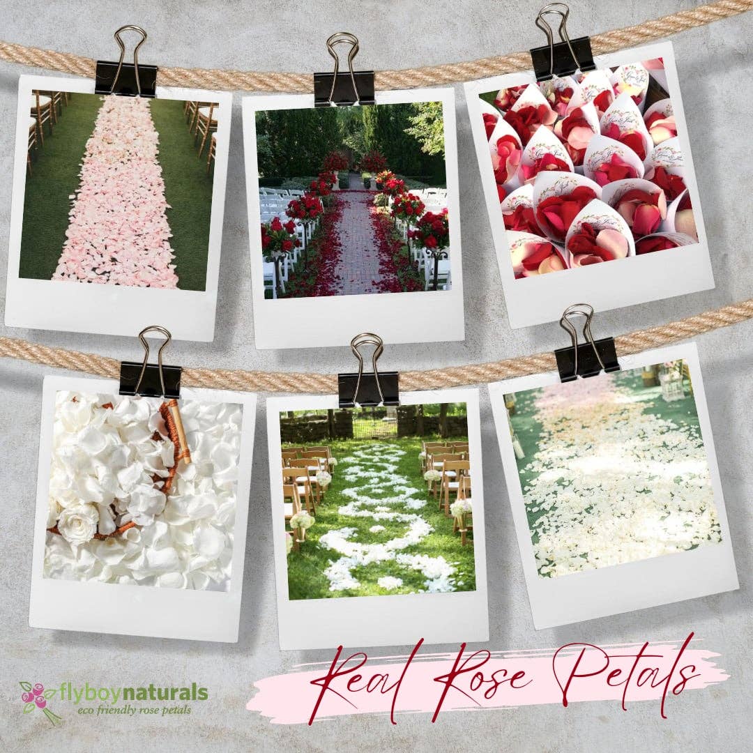 Flyboy Naturals Rose Petals - Wholesale Dried/pressed flowers - Bridal White/Ivory Freeze-Dried Rose Petals 30 Cups USA17