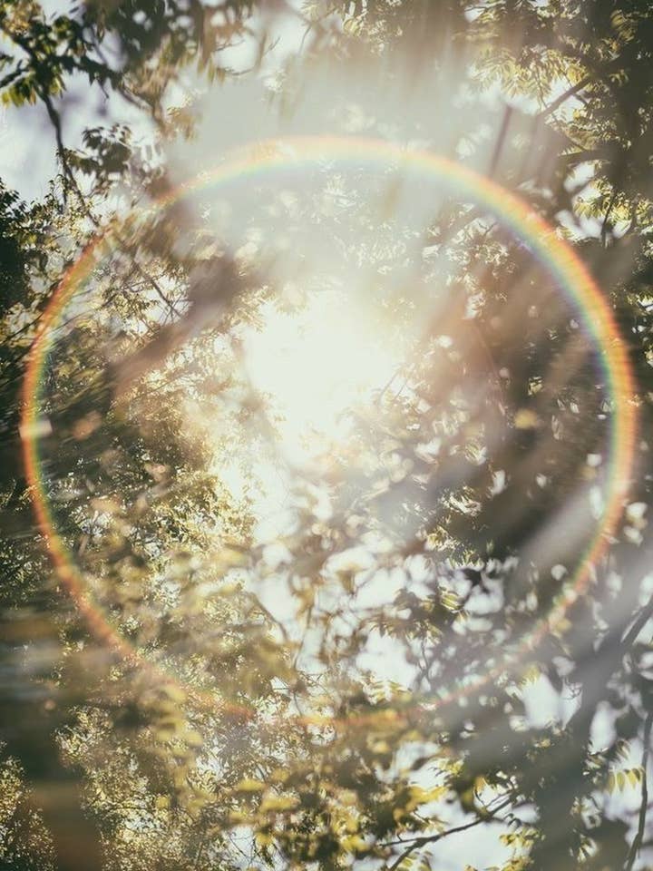 Mountain Equinox | Fresh Juniper & Lemon | Soy Wax Candle for wholesale by Hyalite & Co