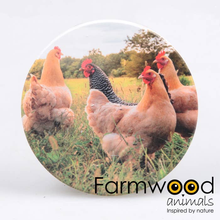 Imhof & Stevens BV - Wholesale Onderzetters - ONDERZETTER ROND KIPPEN 10X10X0.7 CM0