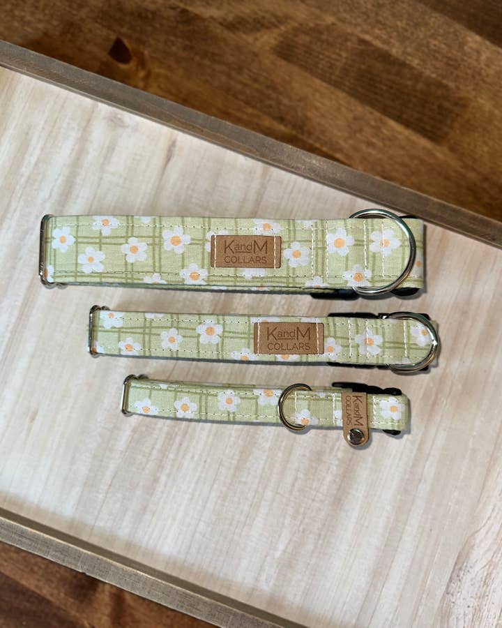 K and M Collars - Vente Collier – chien - Collier pour chien en forme de marguerites vert vif sur carreaux, colliers K et M0