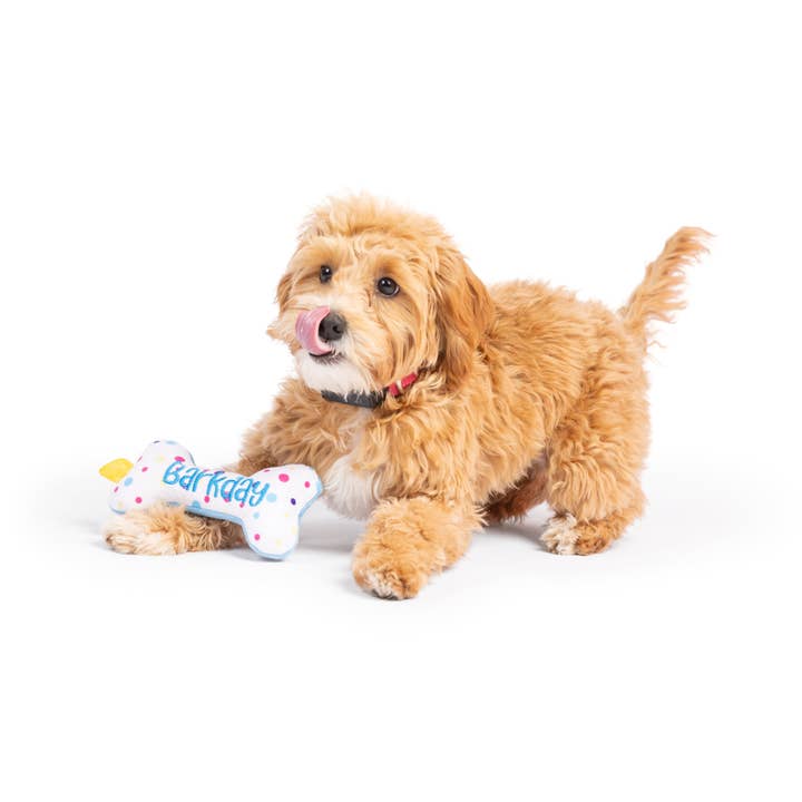 Huxley & Kent - Wholesale Pet Plush Toy - Dog - Tiny Tuff It's My Barkday Bone2