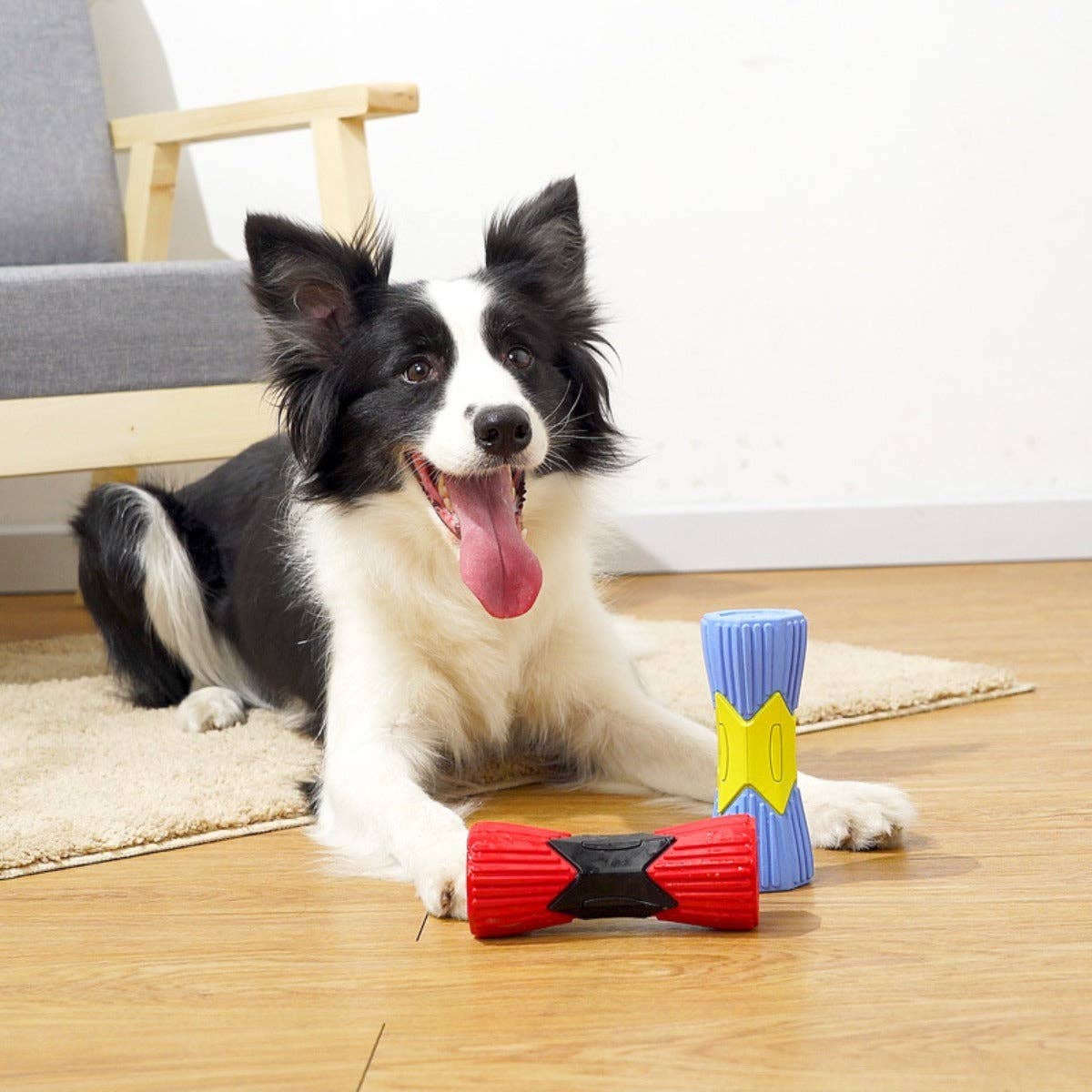 Cheerhunting – wholesale Tuggleksak för hund - Hund – Chewia - Cylinder Chew Squeaky Toy4