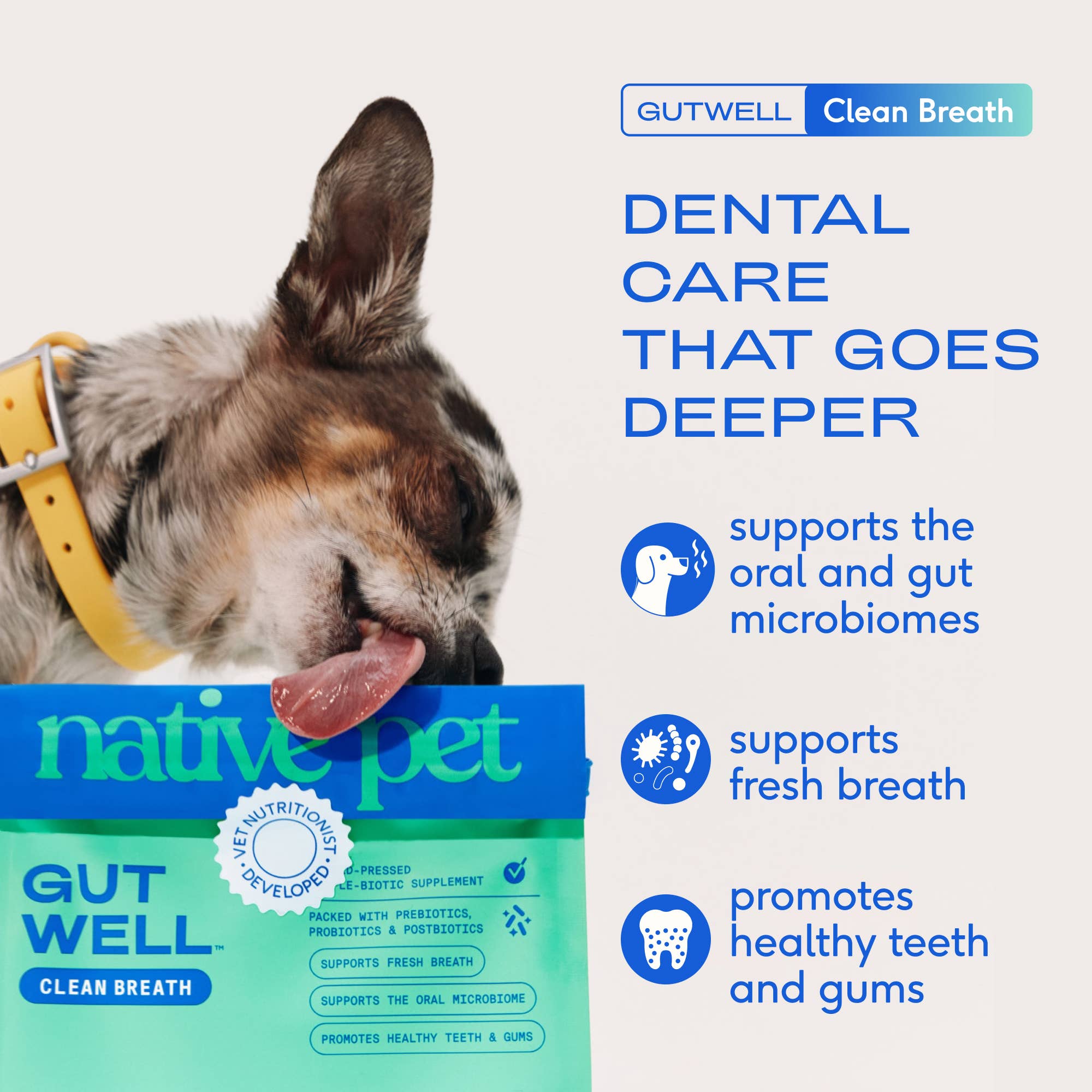 Native Pet - Wholesale Pet Supplement - Dog - Native Pet GutWell Clean Breath, Dog Dental Care Supplement2