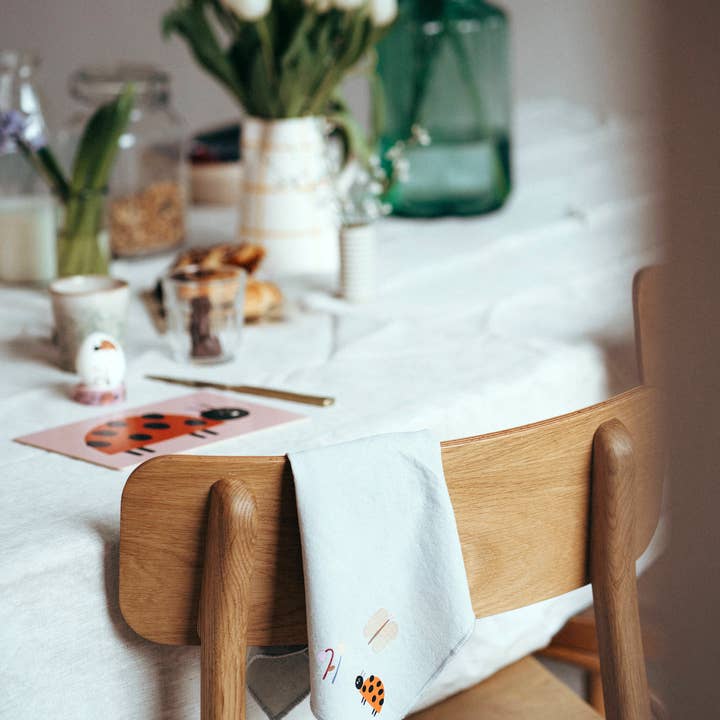 nuukk GmbH - Wholesale Sublimation Transfer - Ironing pictures - ladybugs2