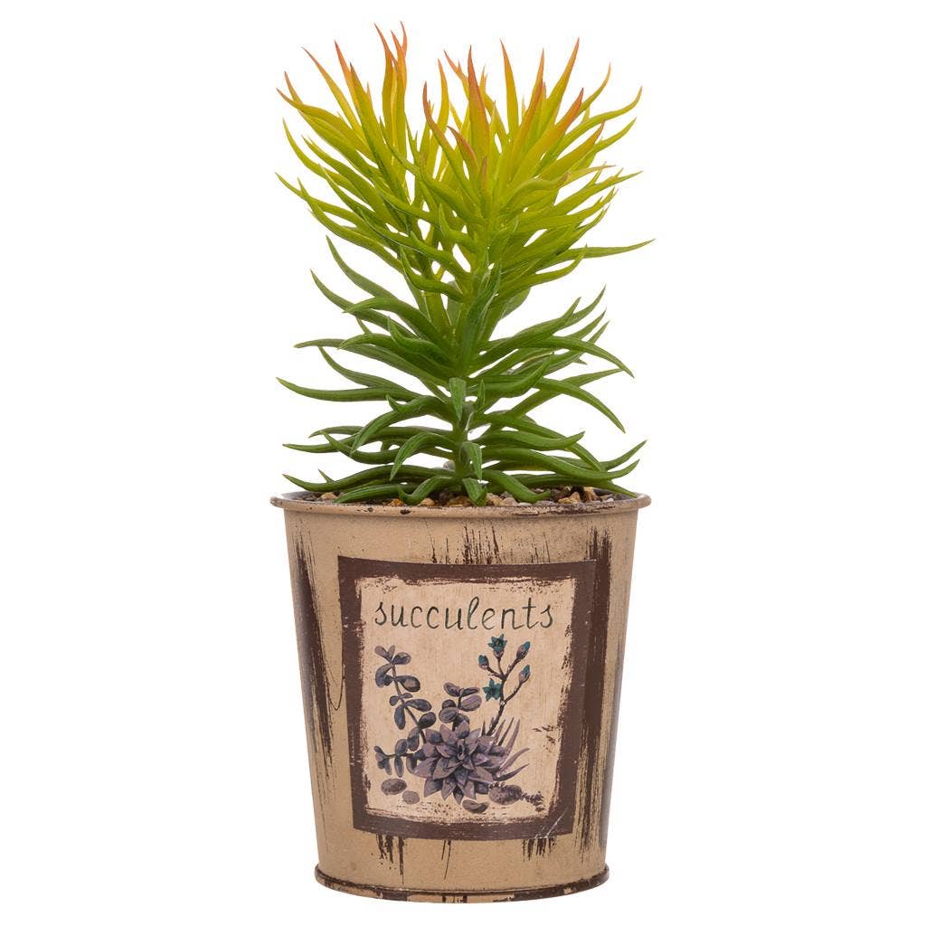 Creaciones Meng - Wholesale Artificial Plant - artificial cactus pot2