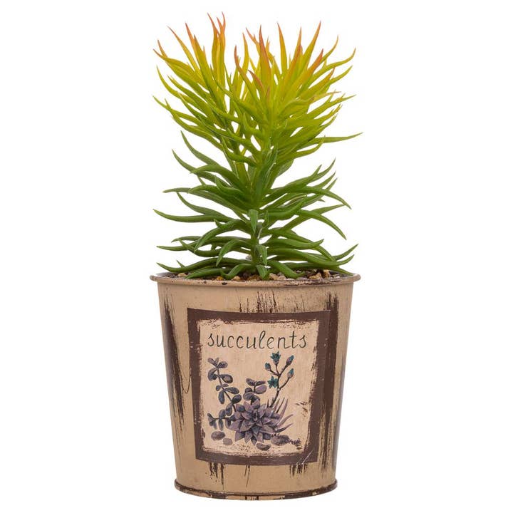 Creaciones Meng - Wholesale Artificial Plant - artificial cactus pot2