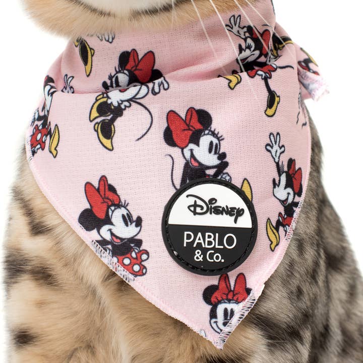 Minnie Mouse: Cat Bandana for wholesale by Pablo & Co. Boutique