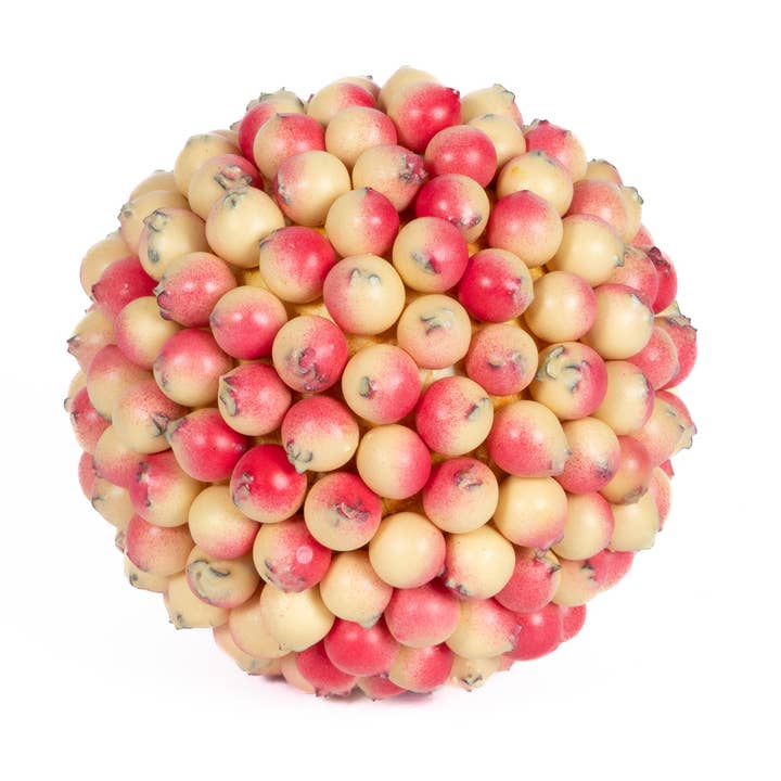 Mills Floral Company - Wholesale Decorative Tabletop Object - Berry Ball - Shell - 4 Inch0