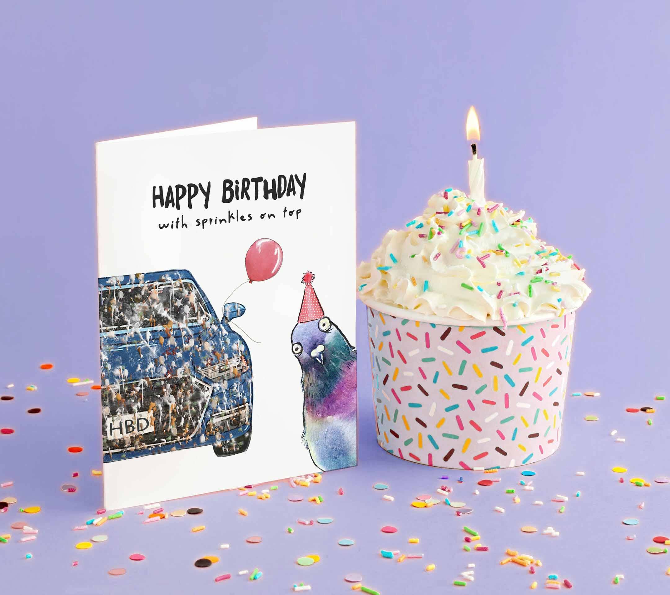 Liyana Studio - Wholesale Birthday Card - Pigeon Birthday Sprinkle - Funny Birthday Card3