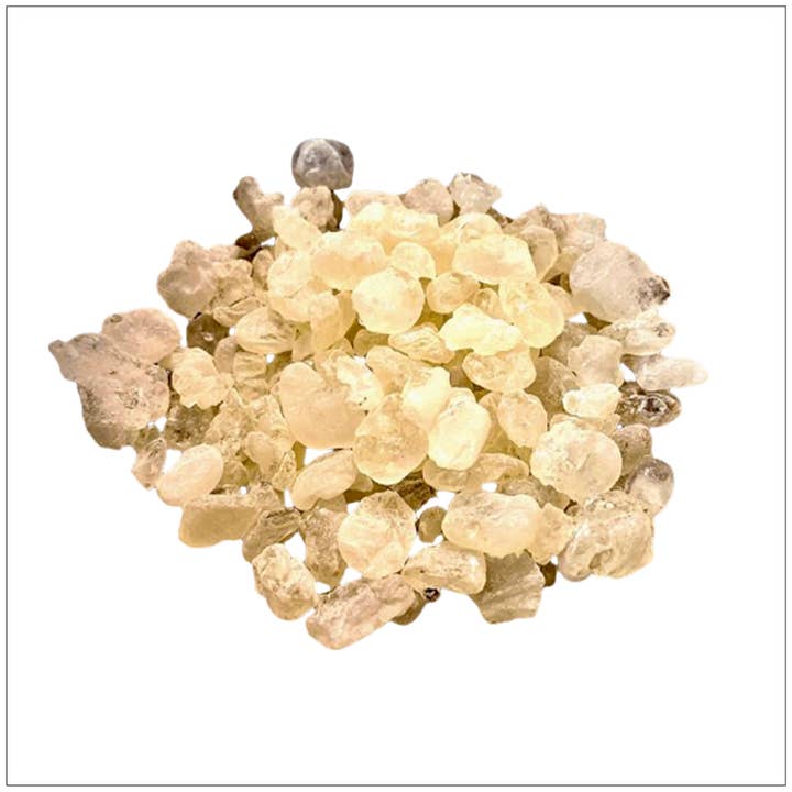 Alive Herbals - Wholesale Chewing Gum - Mastic Gum
