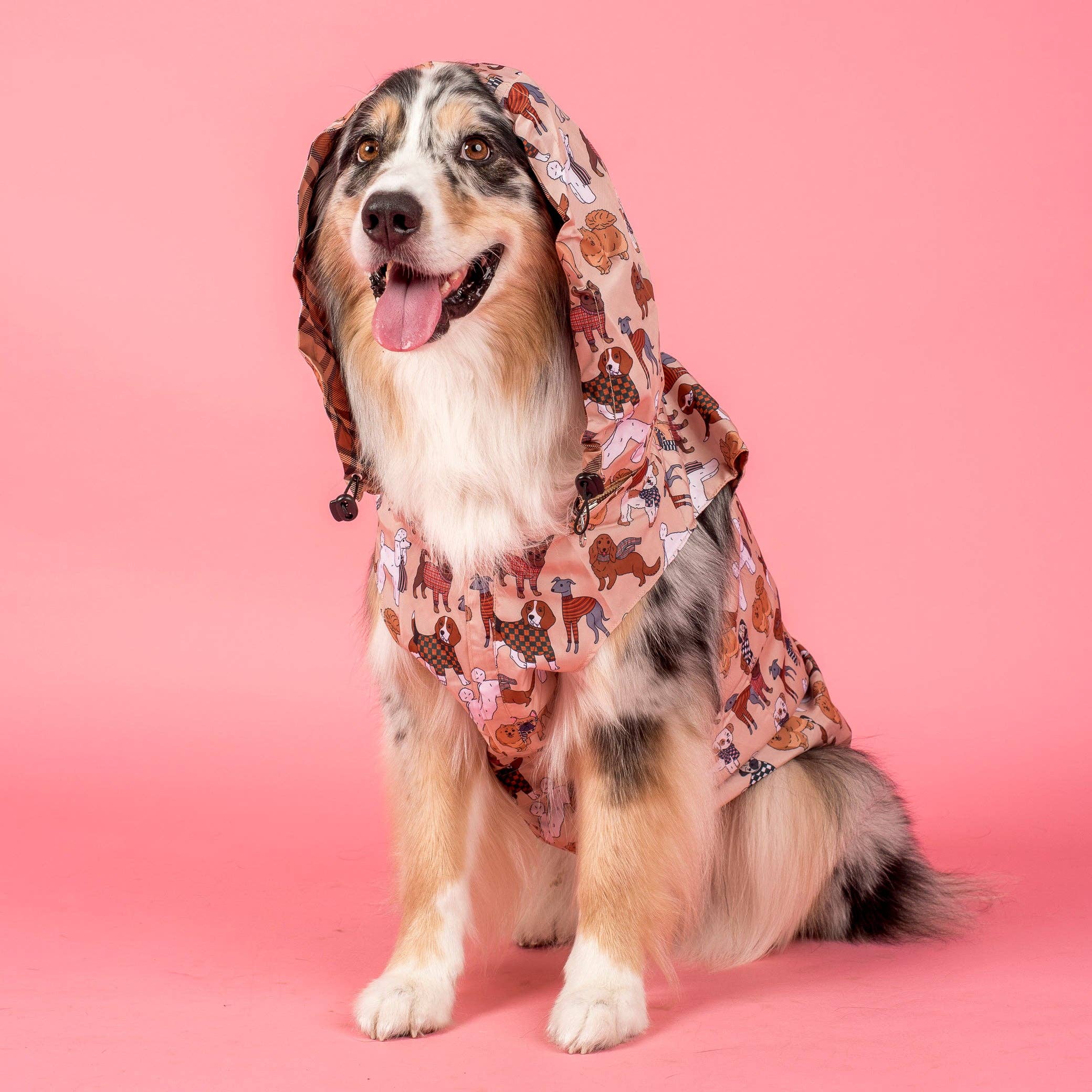 Pablo & Co. Boutique - Wholesale Pet raincoat – Dog - Winter Pooches / Kensington: Raincoat4