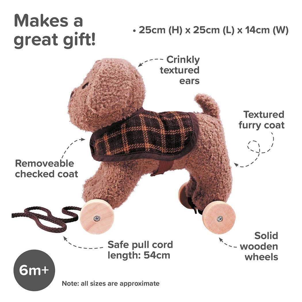 Little Bird Told Me Uk - Vente Jouet classique – enfant - Jouet Percy Pup Pull Along - jouets pour enfants, jouets en bois4