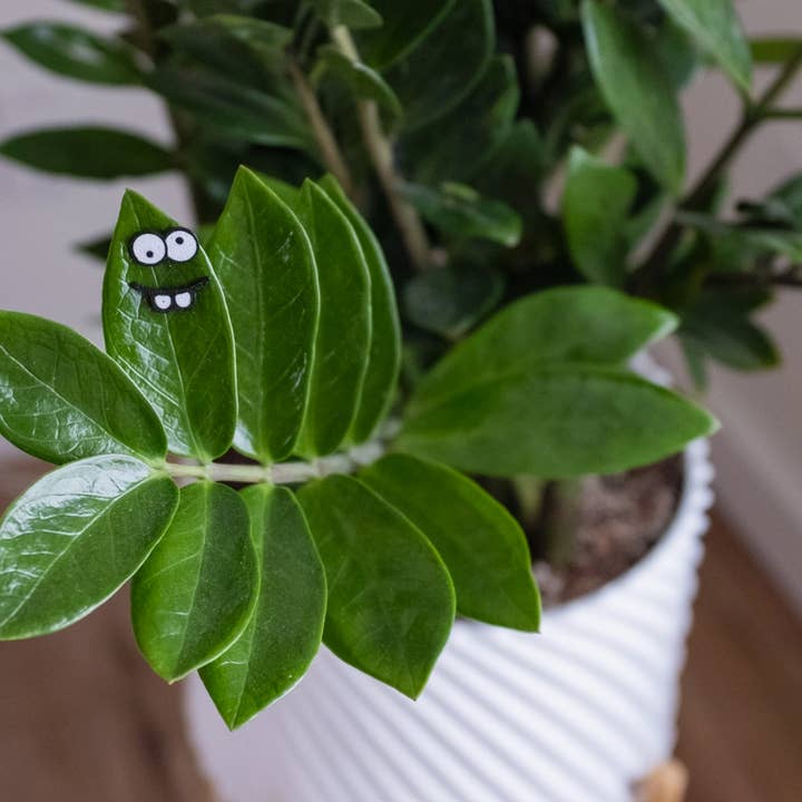 The Plant Supply - Wholesale Magnet - Magnetic Plant Faces | Magnet Charms for Plants