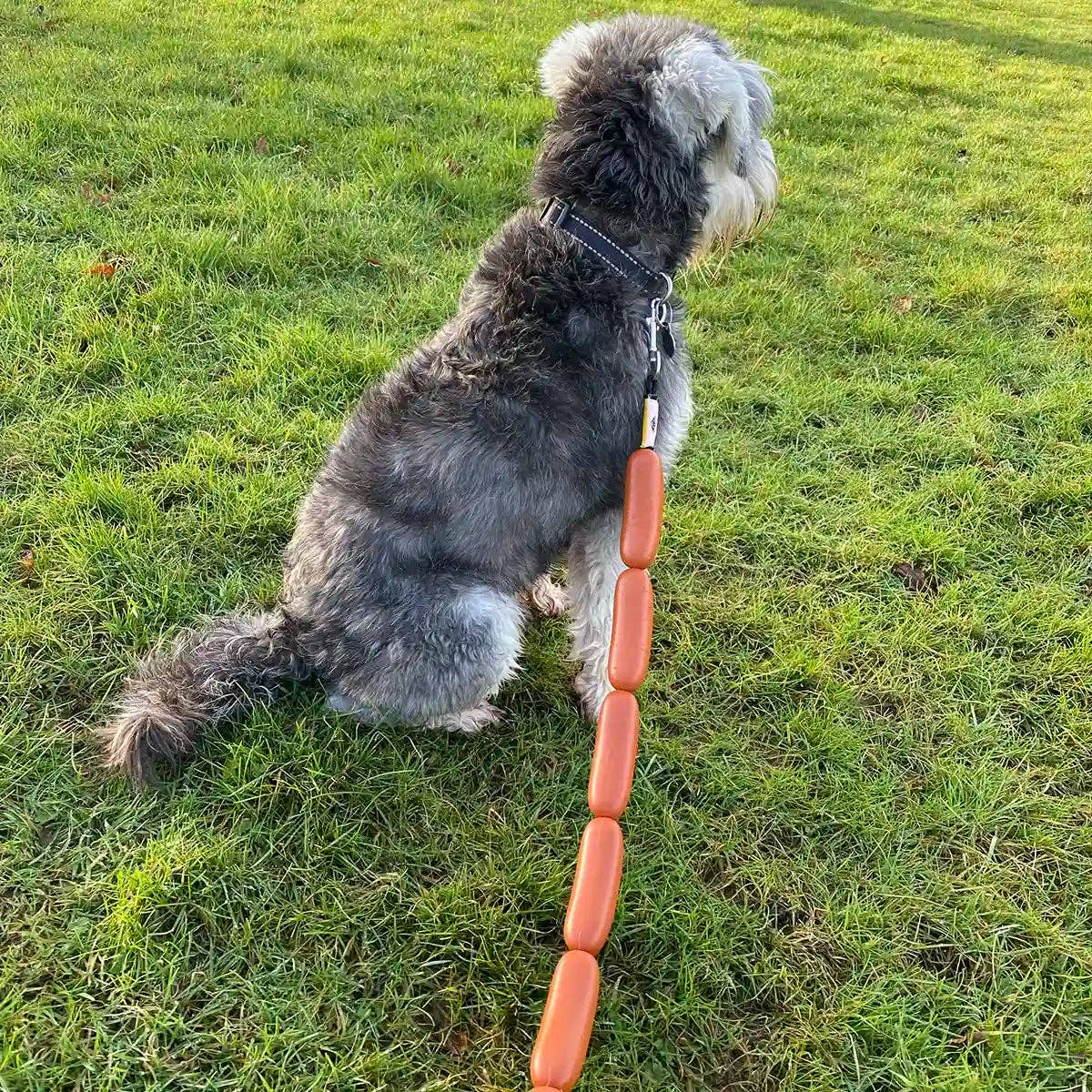 4DOGGO - Wholesale Pet Leash - Dog - The "Hotdog" - Sausage Dog Lead5