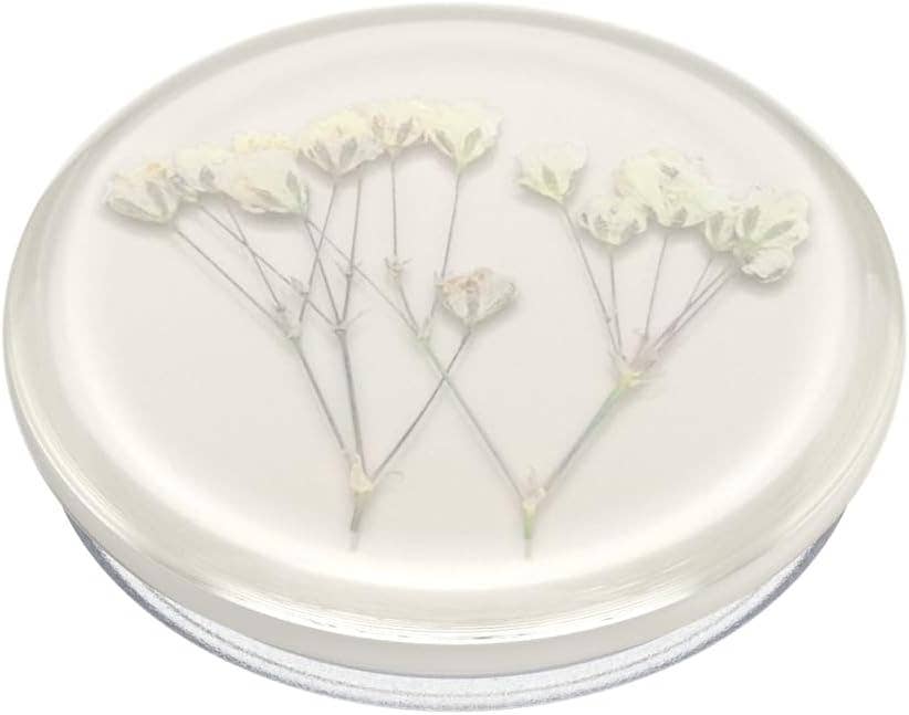 POPSOCKETS - Wholesale Phone Grip - 🏵️ Pressed Flower Baby's Breath 🏵️2