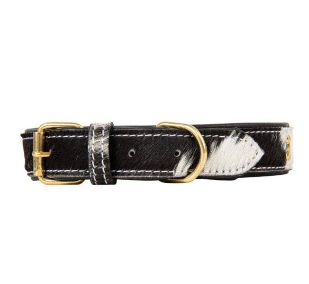 The Sterling Gypsy - Wholesale Pet Collar - Dog - Cowhide and Leather Western Dog Collar Cow Farm Dog Show Dog7