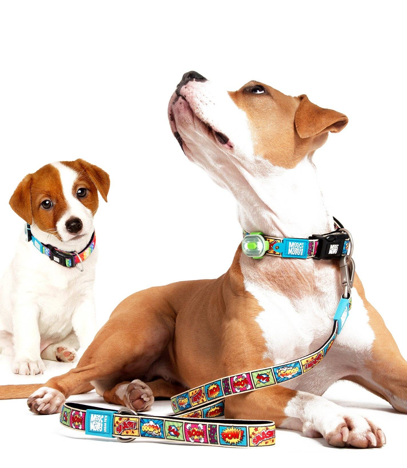 Max & Molly - Wholesale Pet Collar - Dog - GOTCHA! Smart ID Dog Collar - Comic5