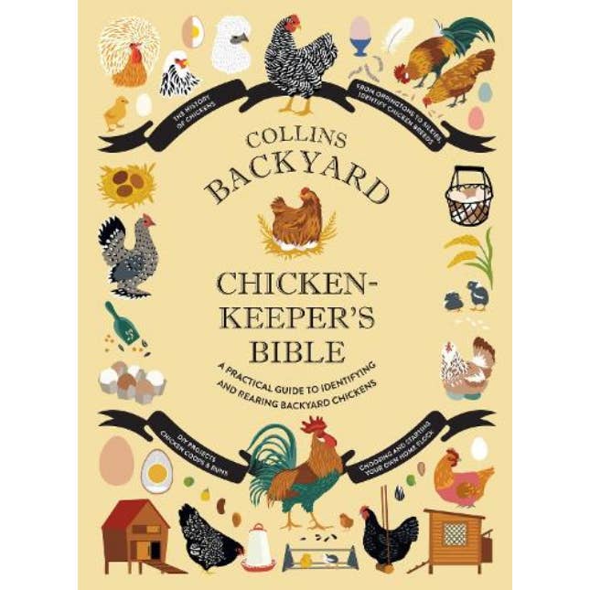Microcosm Publishing & Distribution - Wholesale Book - Adult - Collins Backyard Chicken-Keeper's Bible: A Practical Guide