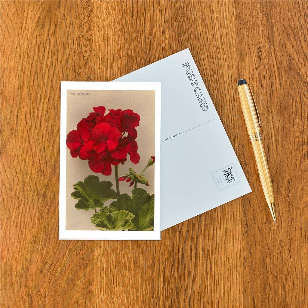 Found Image Press - Venta al por mayor Tarjeta postal - Postal FC-97 Geranio1