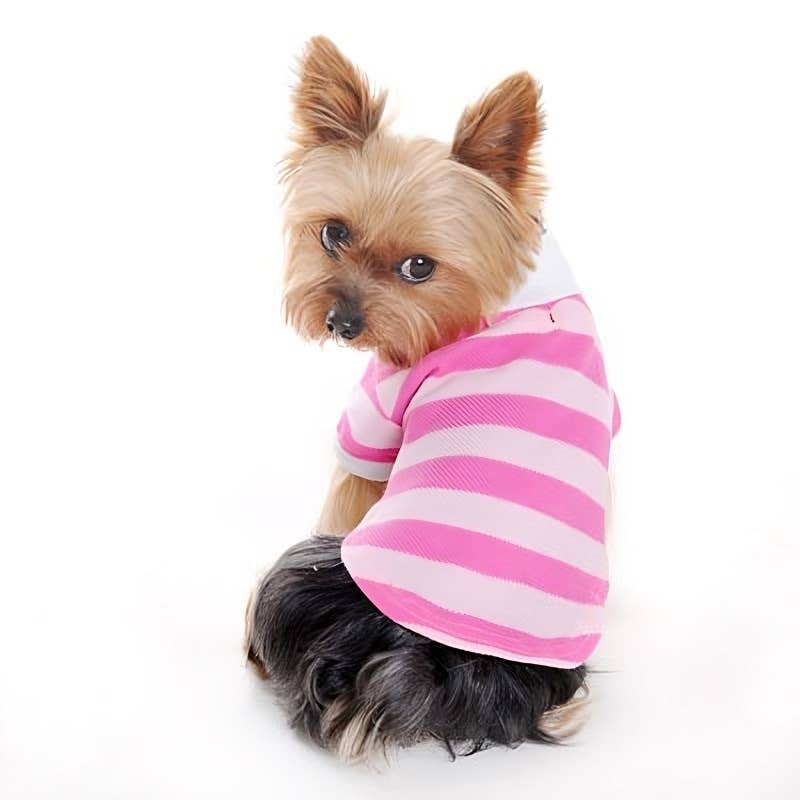 Dogo Pet - Wholesale Pet Shirt - Dog - PP Stripe Polo Shirt7