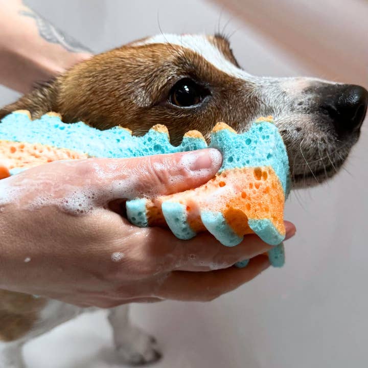 JAMPY - Wholesale Bath Pouf/Sponge - Mr. & Ms. Sponge Made in Italy Latex-free Hypoallergenic 1