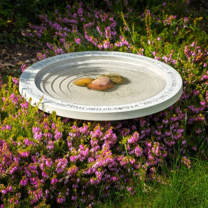 Wildlife World Ltd - Wholesale Bird Bath - Shenstone Bird Bath
