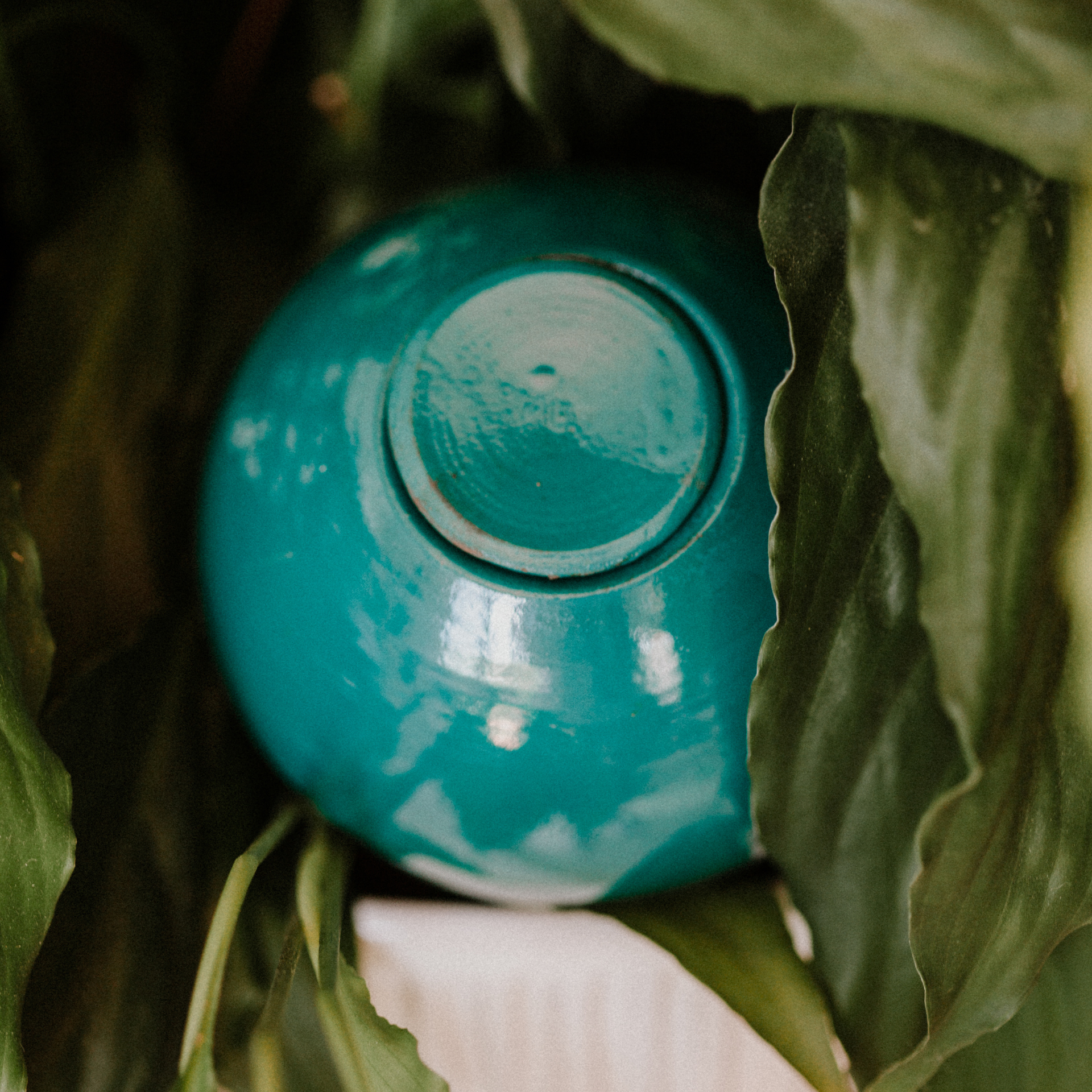 Poterie lutton - Wholesale Plant Pot - Mini Ollas to plant13