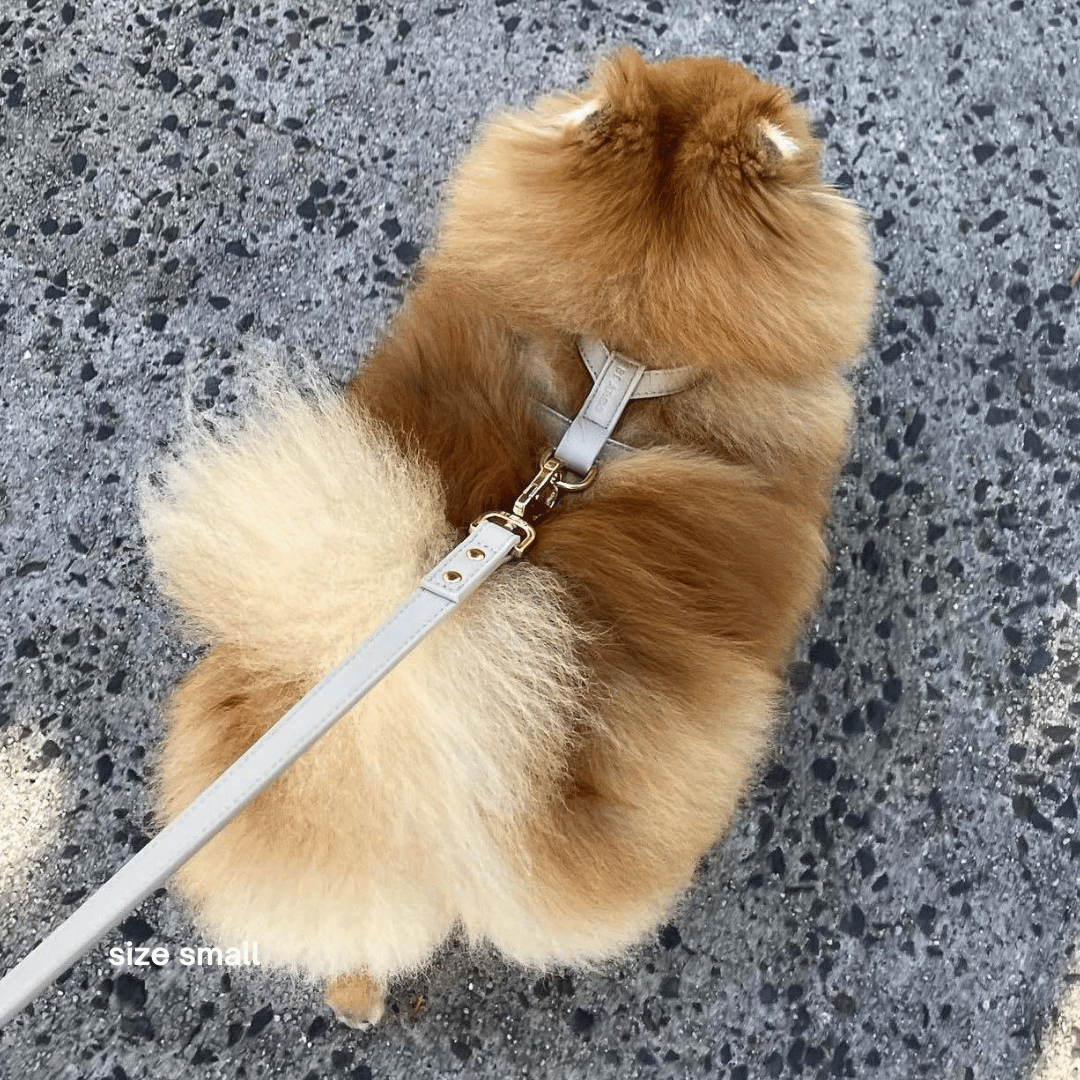 ST ARGO - Wholesale Pet harness – Dog - HARNESS - Cream2