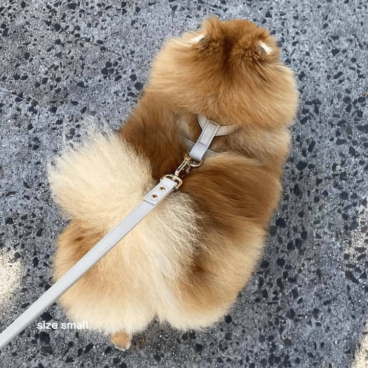 ST ARGO - Wholesale Pet harness – Dog - HARNESS - Taupe2