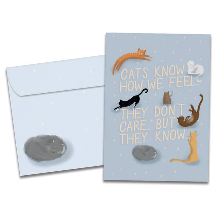 Cats Know Support & Encouragement 6 Pack 21568 for wholesale by Tree-Free Greetings