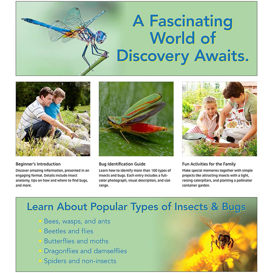 AdventureKEEN - Wholesale Nature & Outdoors - Insects & Bugs for Kids4