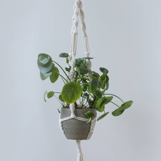 Cabide de macramé natural por atacado de Desired-Design