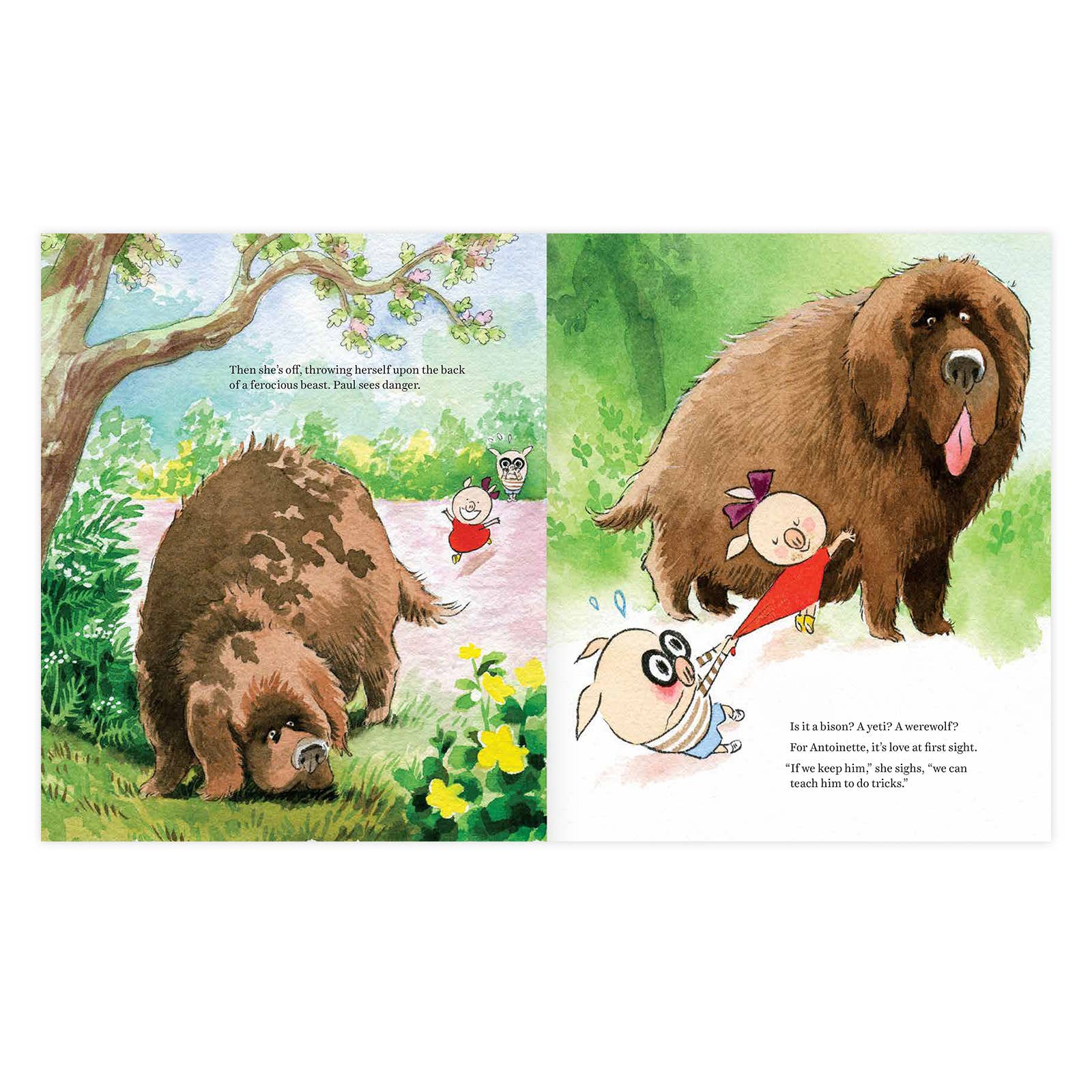 Enchanted Lion Books - Wholesale Preschool Book (3-5) - Paul and Antoinette3