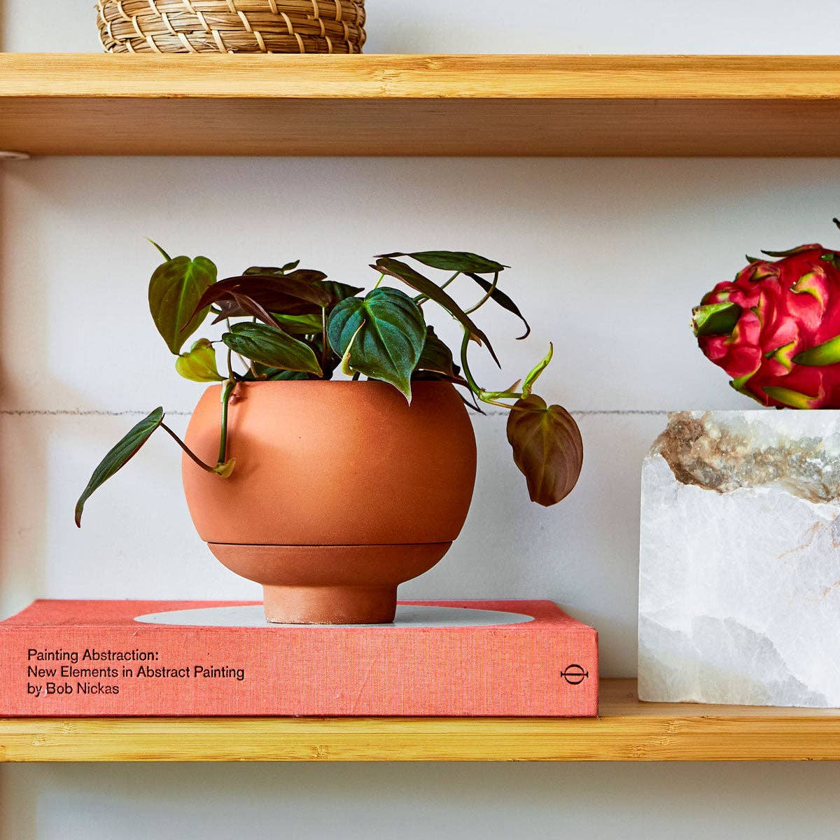 Greenery Unlimited - Wholesale Plant Pot - Sutton 15 Ceramic Self Watering Pot13