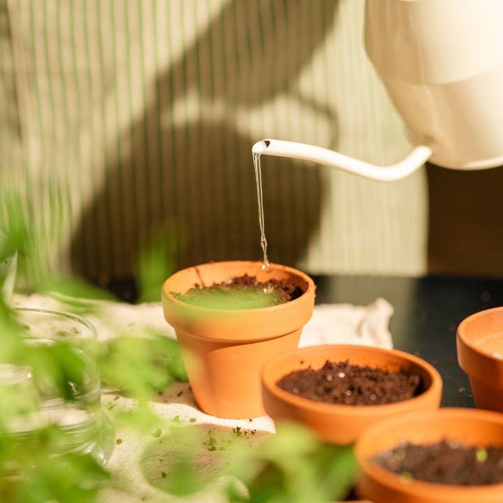 Papier Fleur - Wholesale Mother's Day Card - Plantable card Mother's Day, Happy Mother's Day Mom5