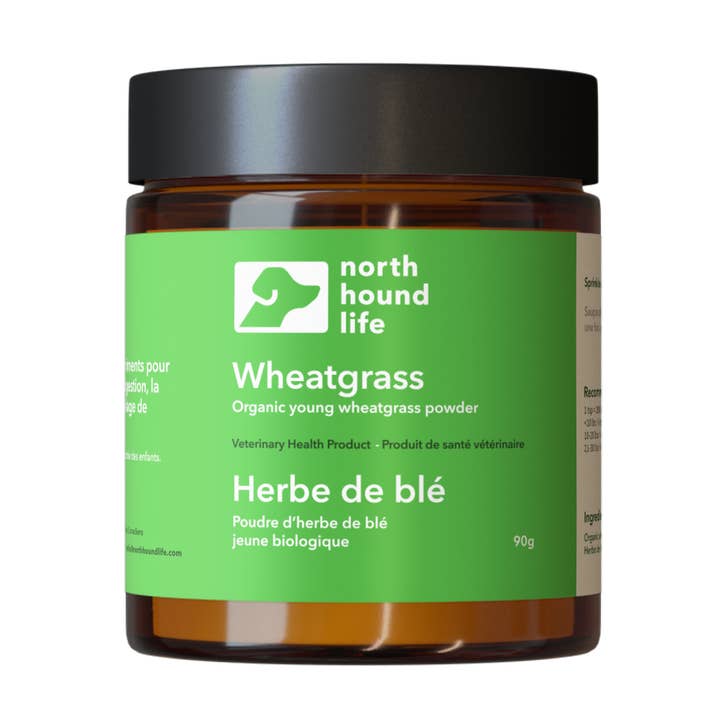Wheatgrass for wholesale by North Hound Life