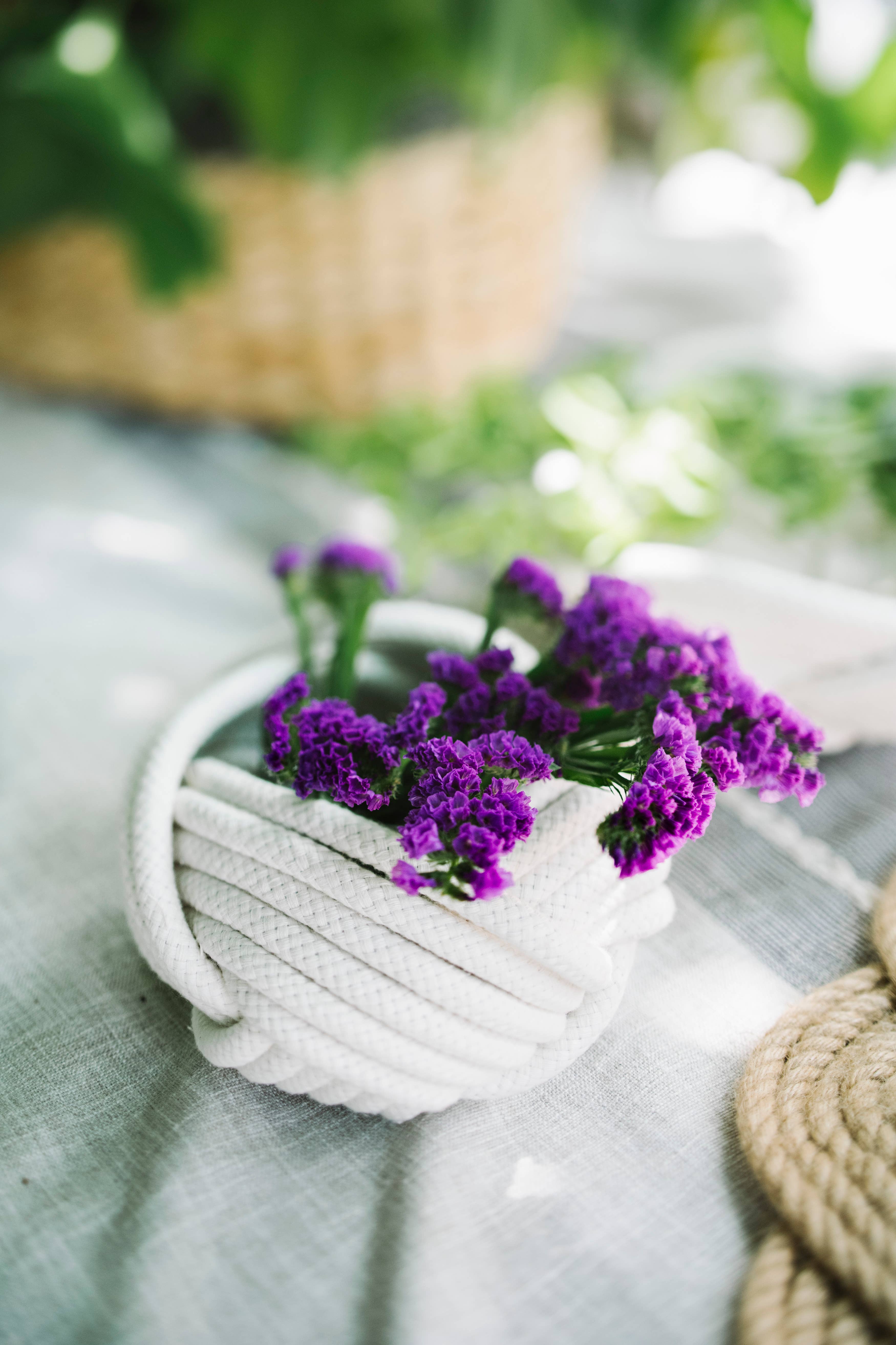 Freeleaf - Wholesale Plant Pot - Unbound Planter1