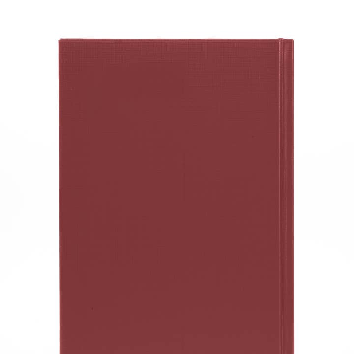 Collins Debden - Wholesale Planner - Essential - A4 Day-to-Page Diary with Appointments- 2025 Calendar Year Planner