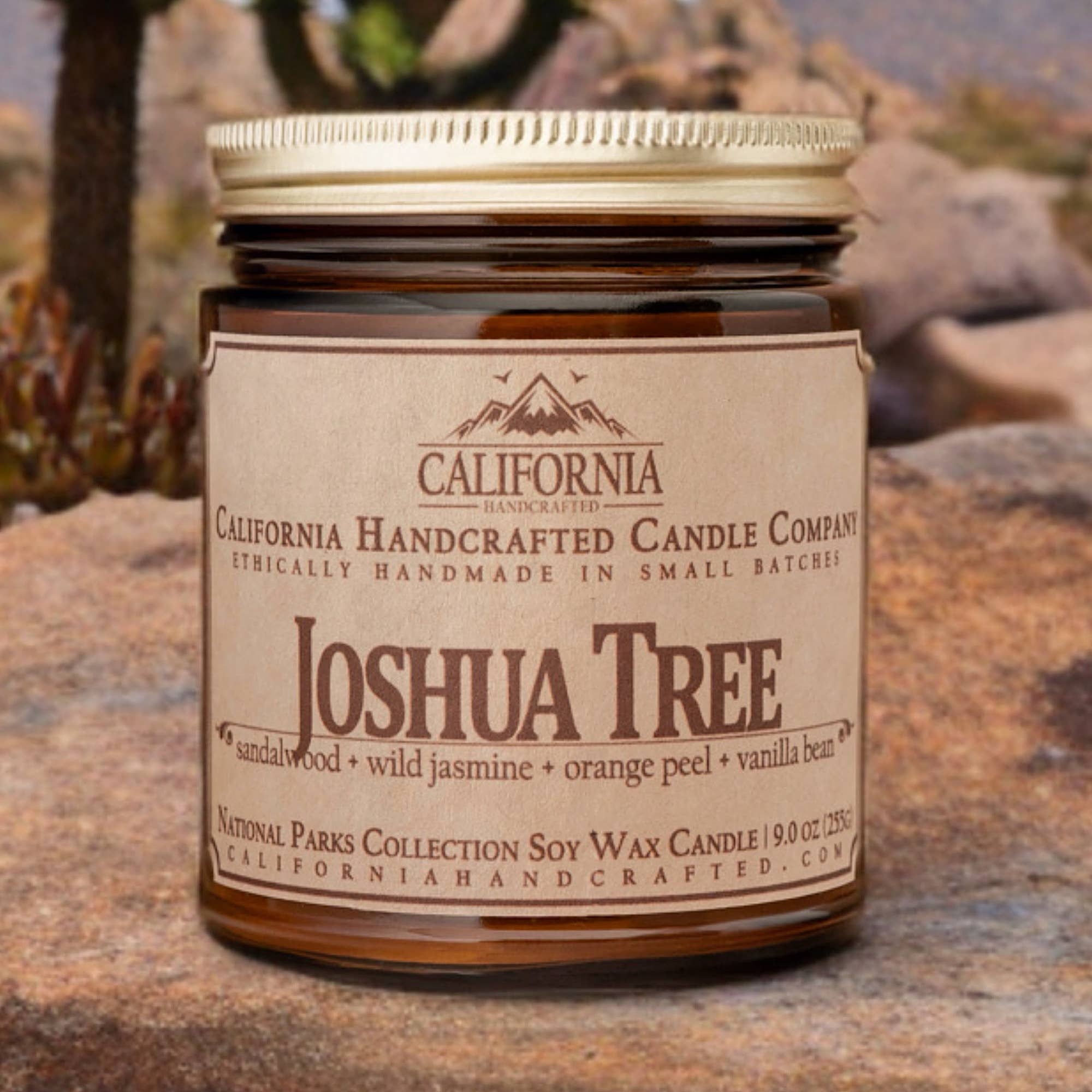 California Handcrafted - Wholesale Jar/Filled Candle - Joshua Tree National Park Coconut Apricot Jar Candle3