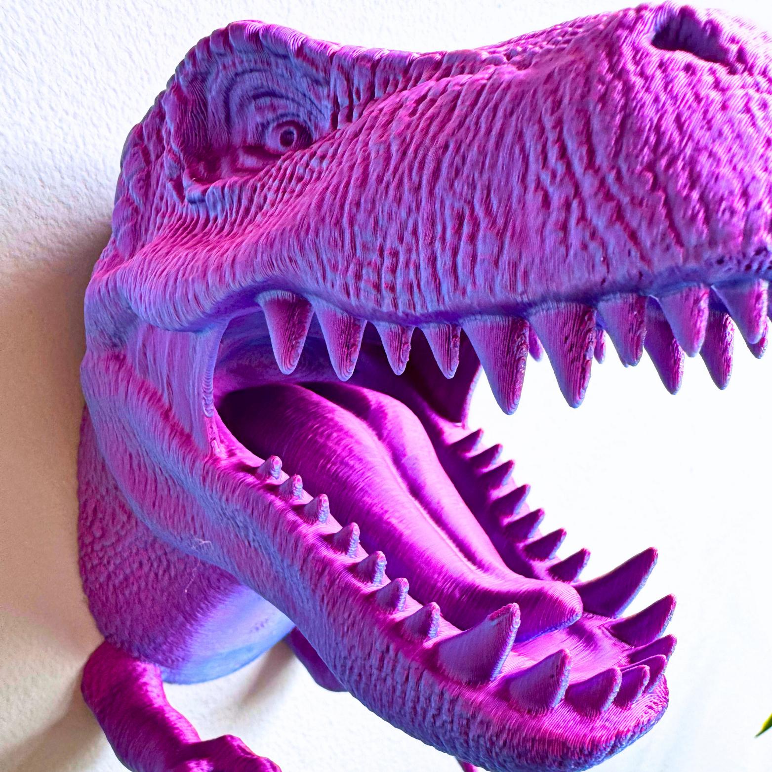 Dragon Fidgets – Großhandel Wanddeko - Kind & Baby – T-Rex Zubehörhalter zur Wandmontage33