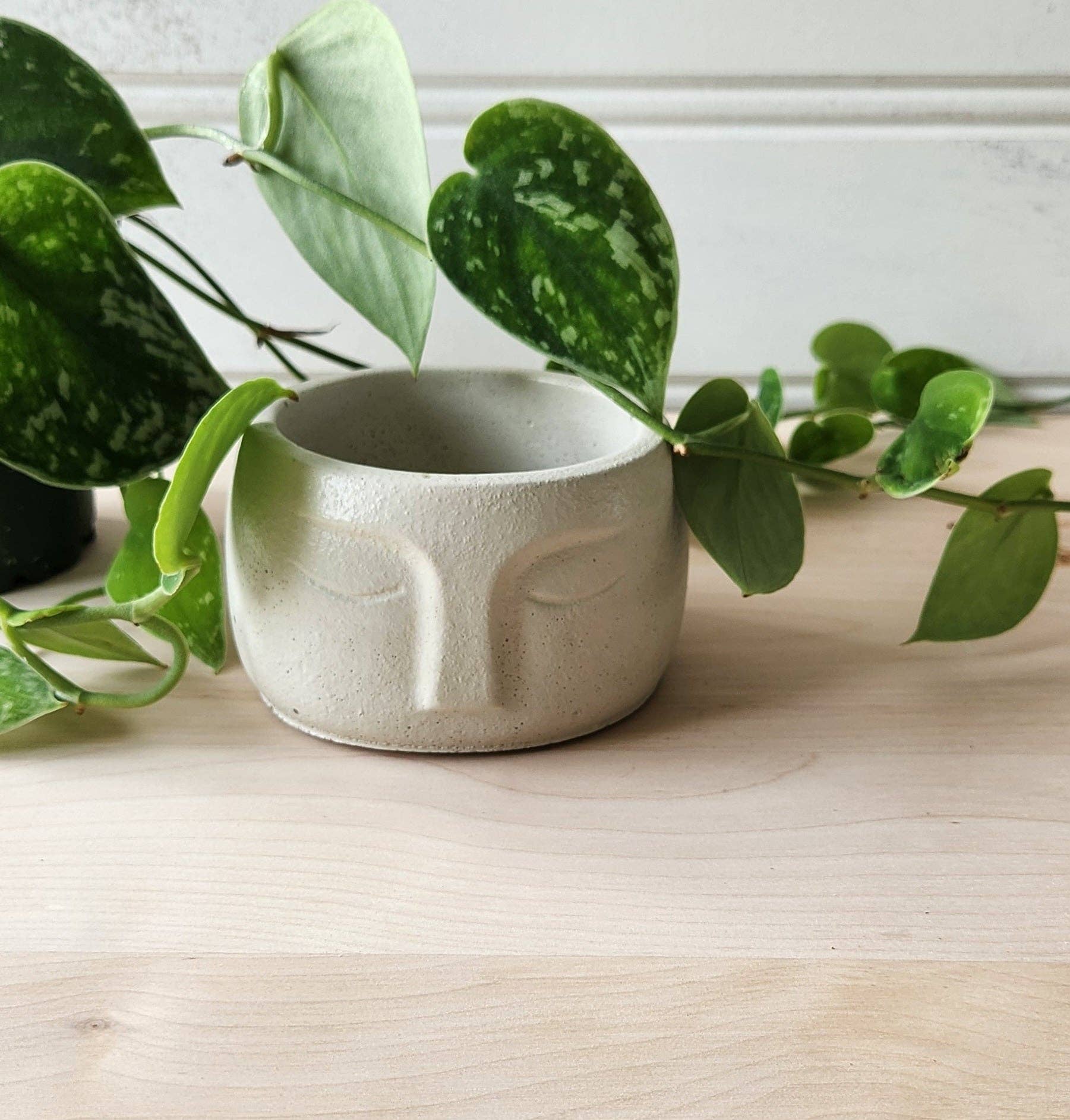 Plant 'er Here - Wholesale Plant Pot - Nordic Face Planter0