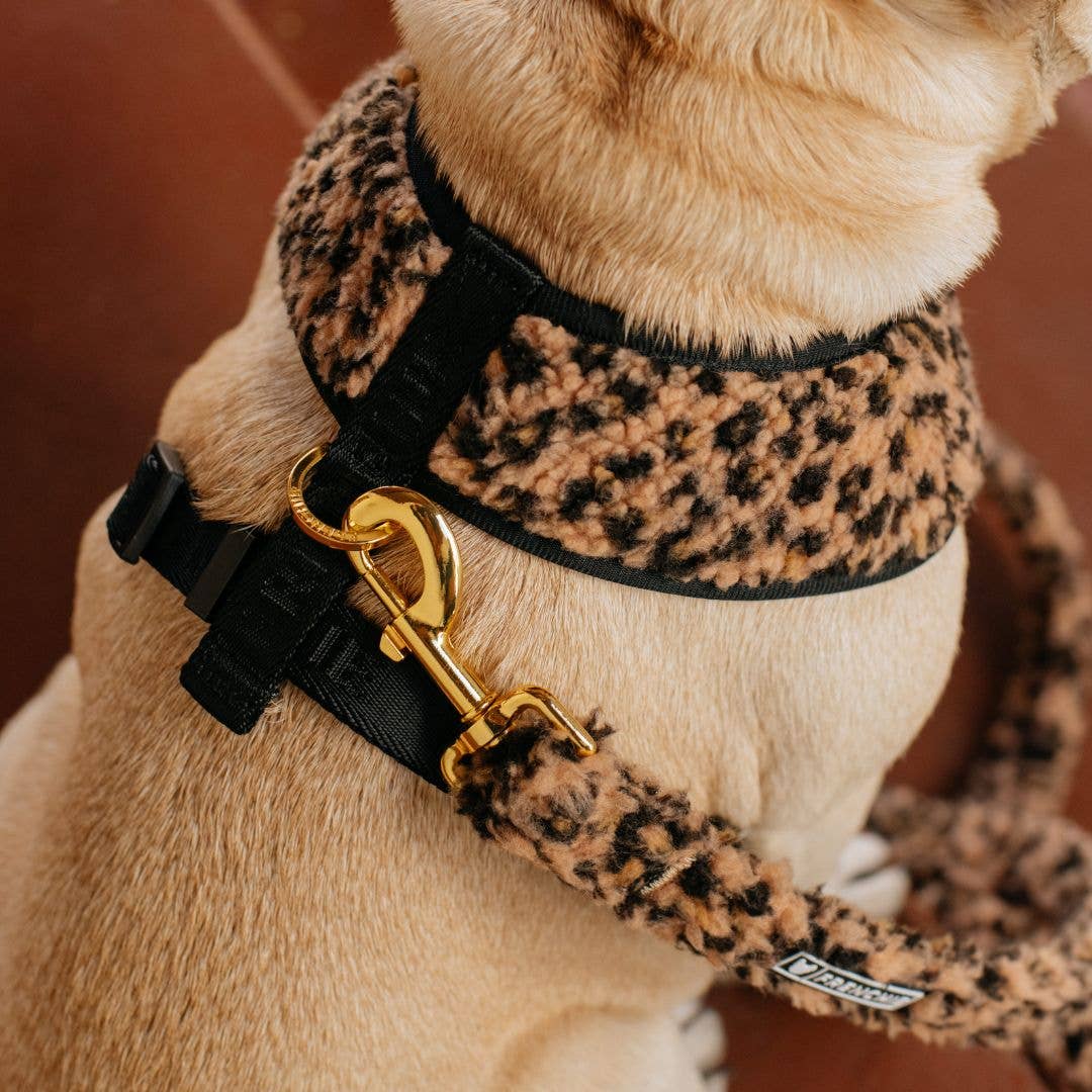 Frenchie – Arnês – Cão por atacado – Arnês Reversível Frenchie Duo - Teddy Leopard4