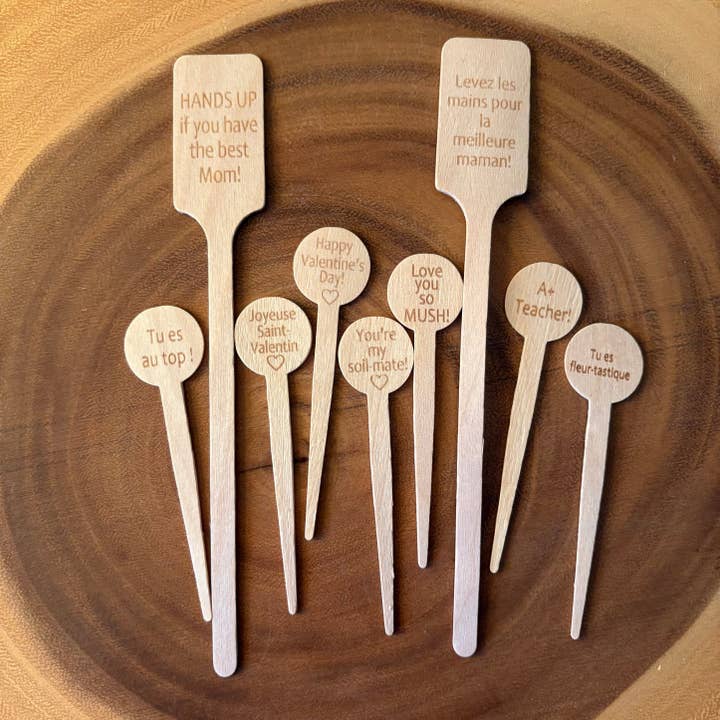 Plantes Piquantes | Panneaux en Bois pour la vente par ForgetBKnot