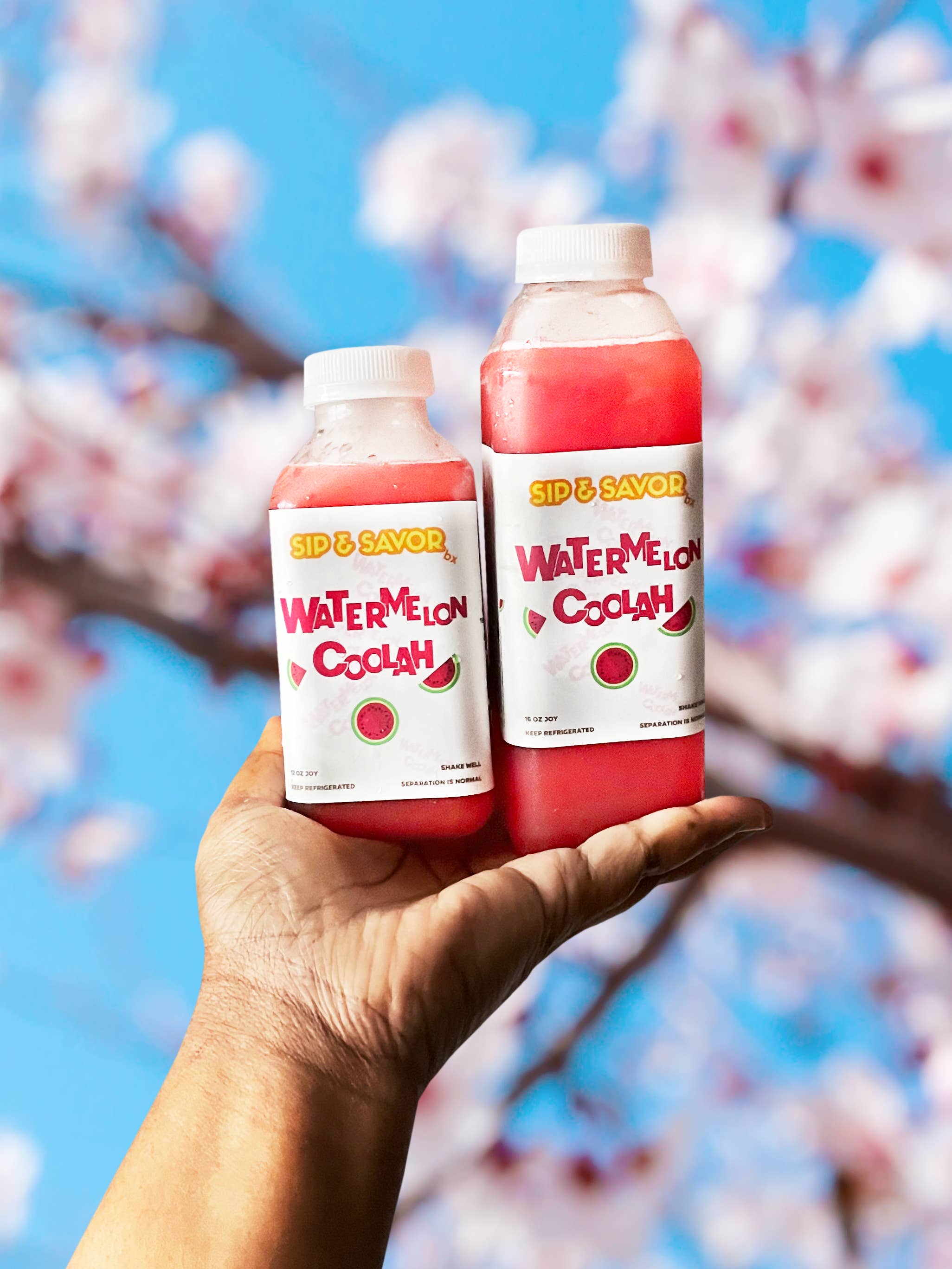 Sip + Savor BX - Wholesale Fruit juice - Watermelon Coolah!