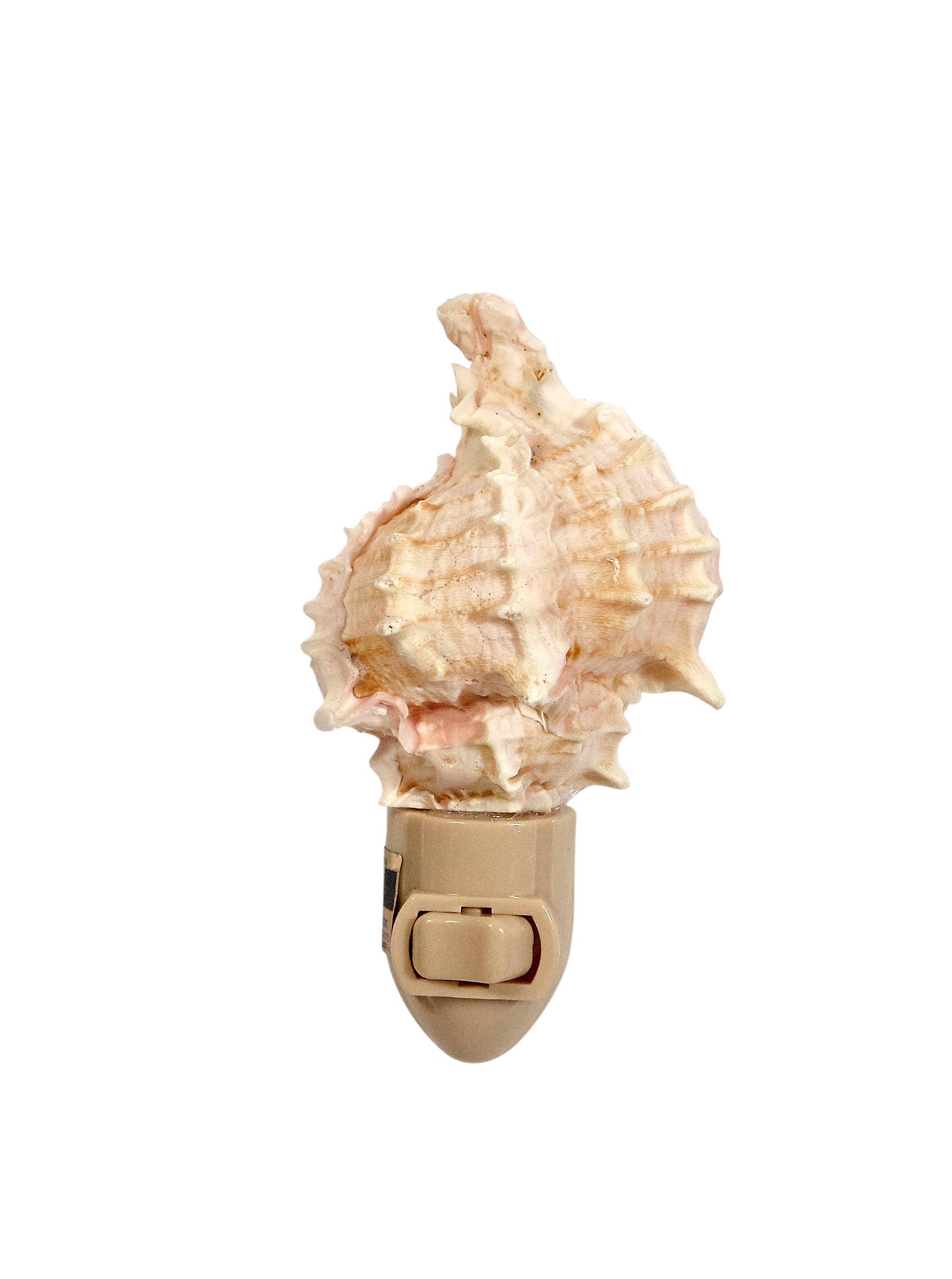 HS Seashells - Wholesale Night Light - Pink Murex Boxed LED Night Light3