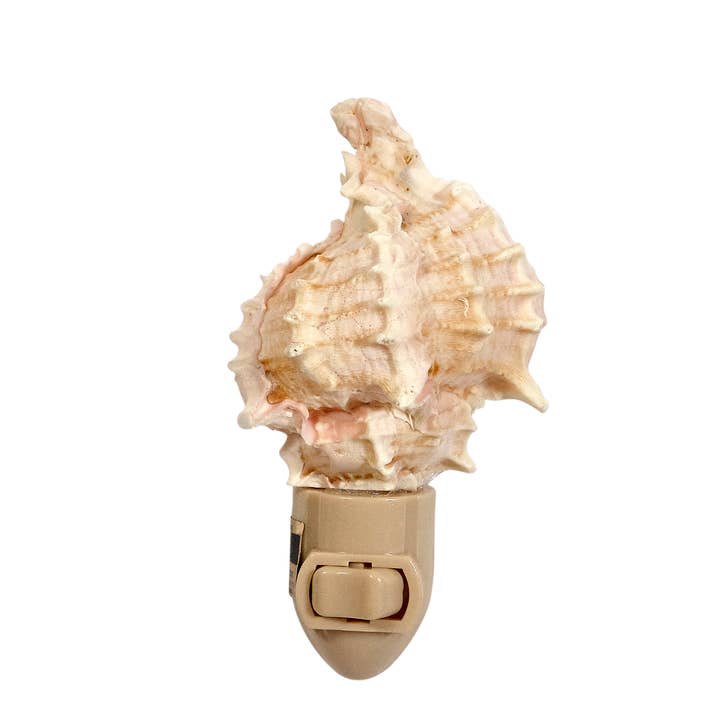 HS Seashells - Vente Veilleuses - Veilleuse LED en boîte Murex rose3