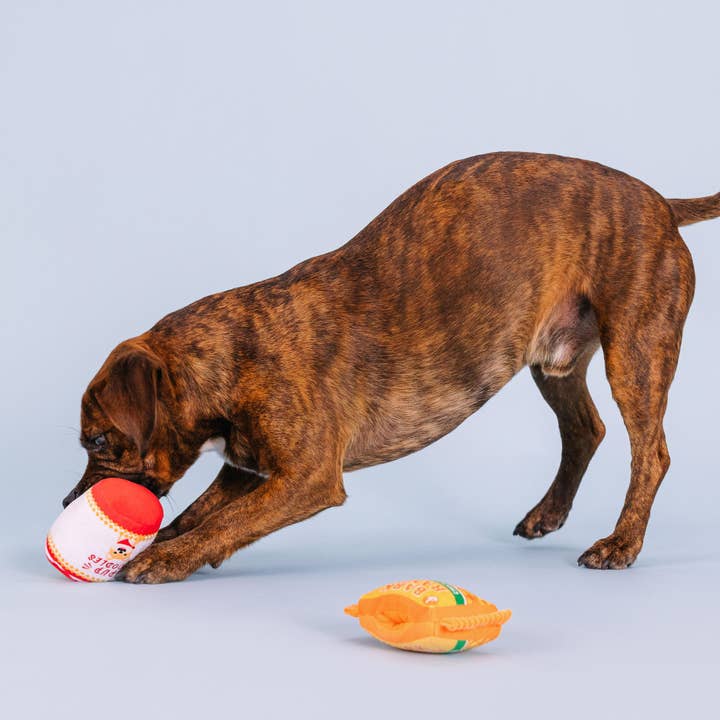 Petshop by Fringe Studio - Wholesale Pet Toy Set - Dog - NOTHIN BUT NOODLES 2 PIECE DOG TOY SET2