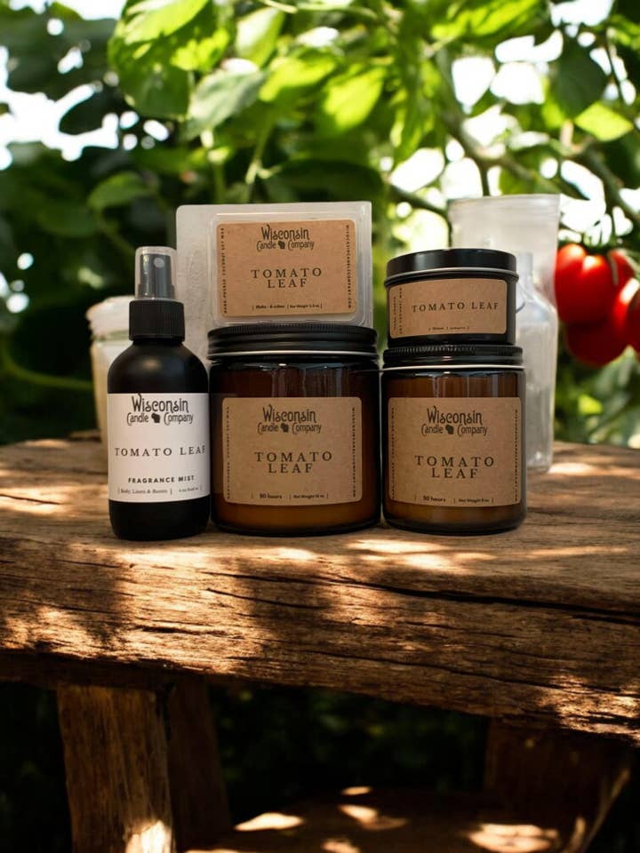 Tomato Leaf - Spring / Summer Seasonal for wholesale by Wisconsin Candle Company