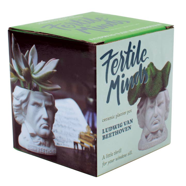 Unemployed Philosophers Guild - Wholesale Plant Pot - Ludwig Van Beethoven Planter2